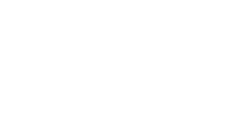 de vinci